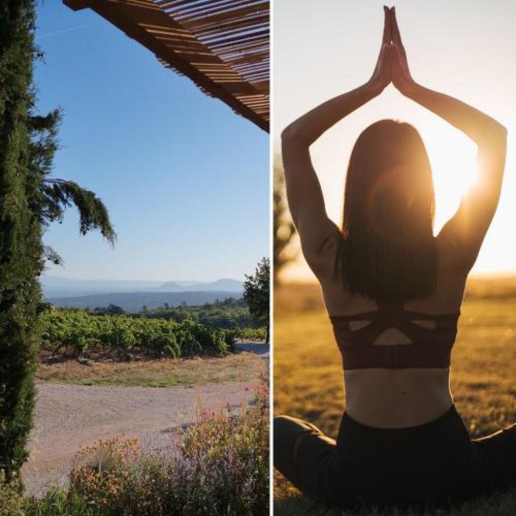 Yoga dans les vignes | Fascinant Week-end