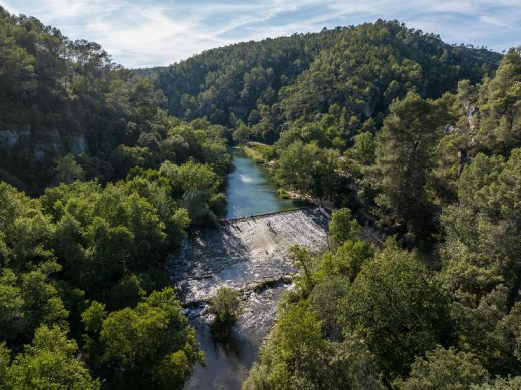 Explorez les facettes du Vallon Sourn (à partir de 5 ans) | Le Var, la Semaine Nature