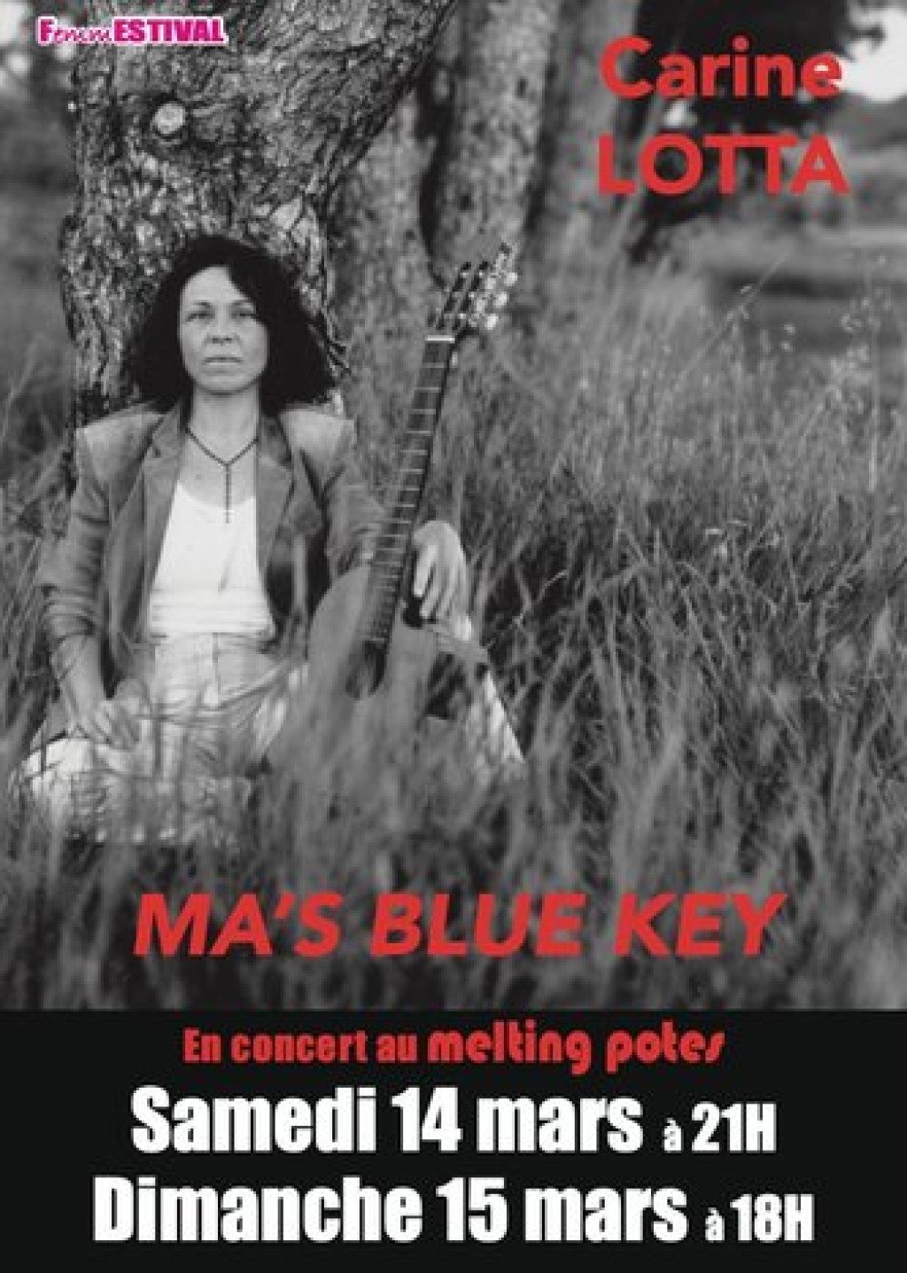 Concert : Carine Lotta - musique blues | FemmESTIVAL