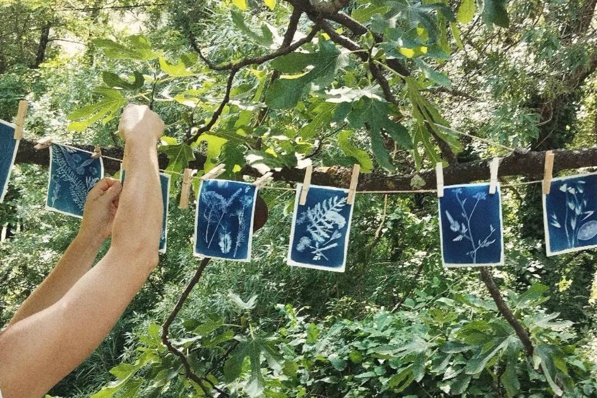 Viens voir la vie en bleu : atelier cyanotype !