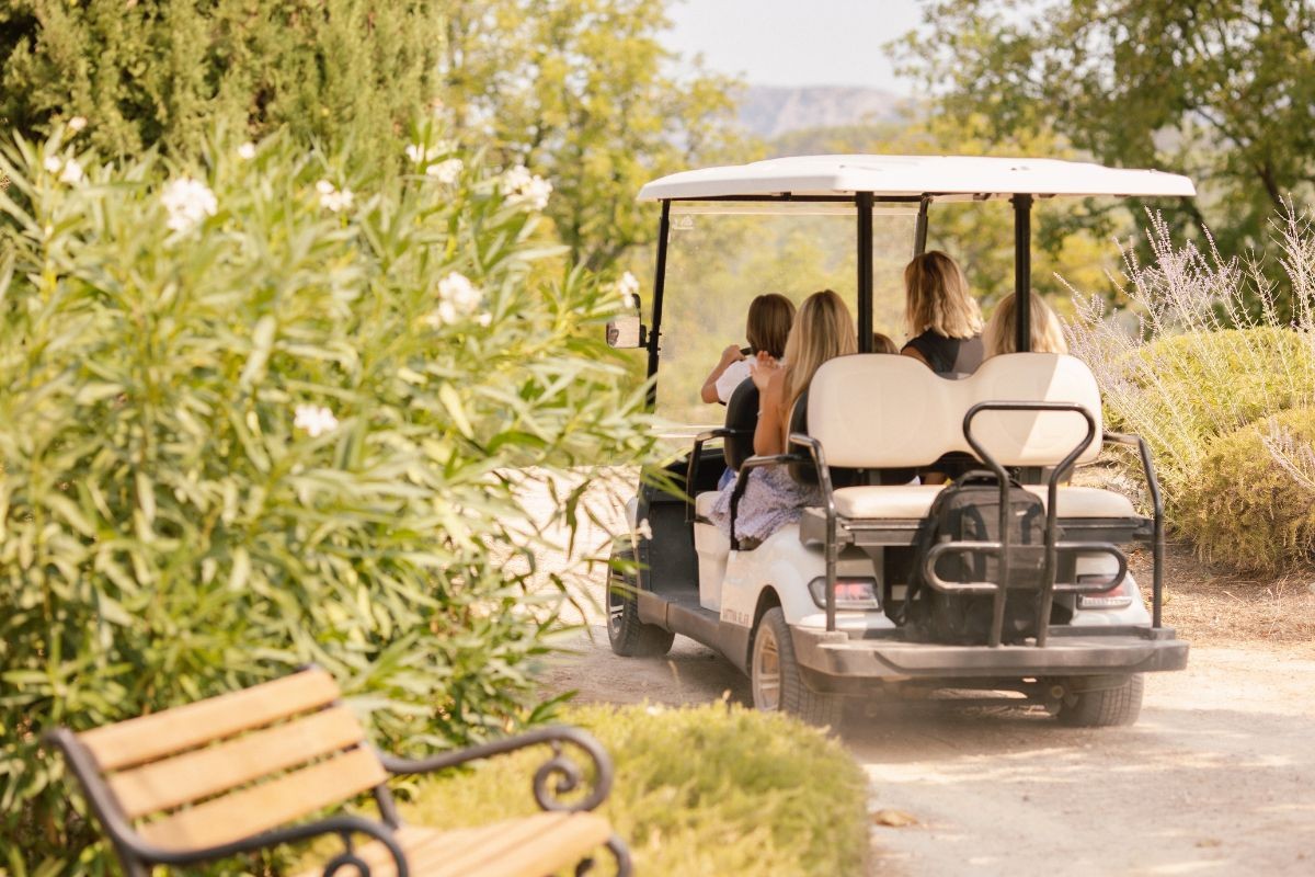 Virée en voiturette électrique dans les vignes