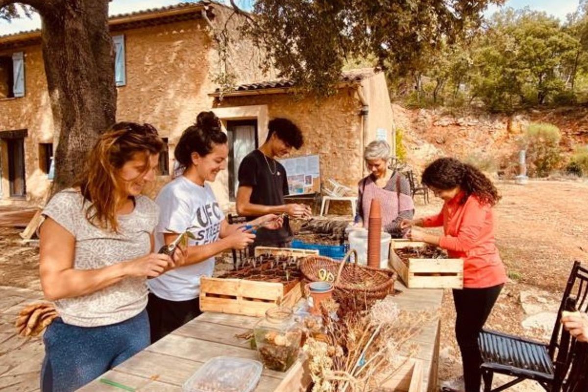 Apprentis maraîchers : semer, cultiver et récolter