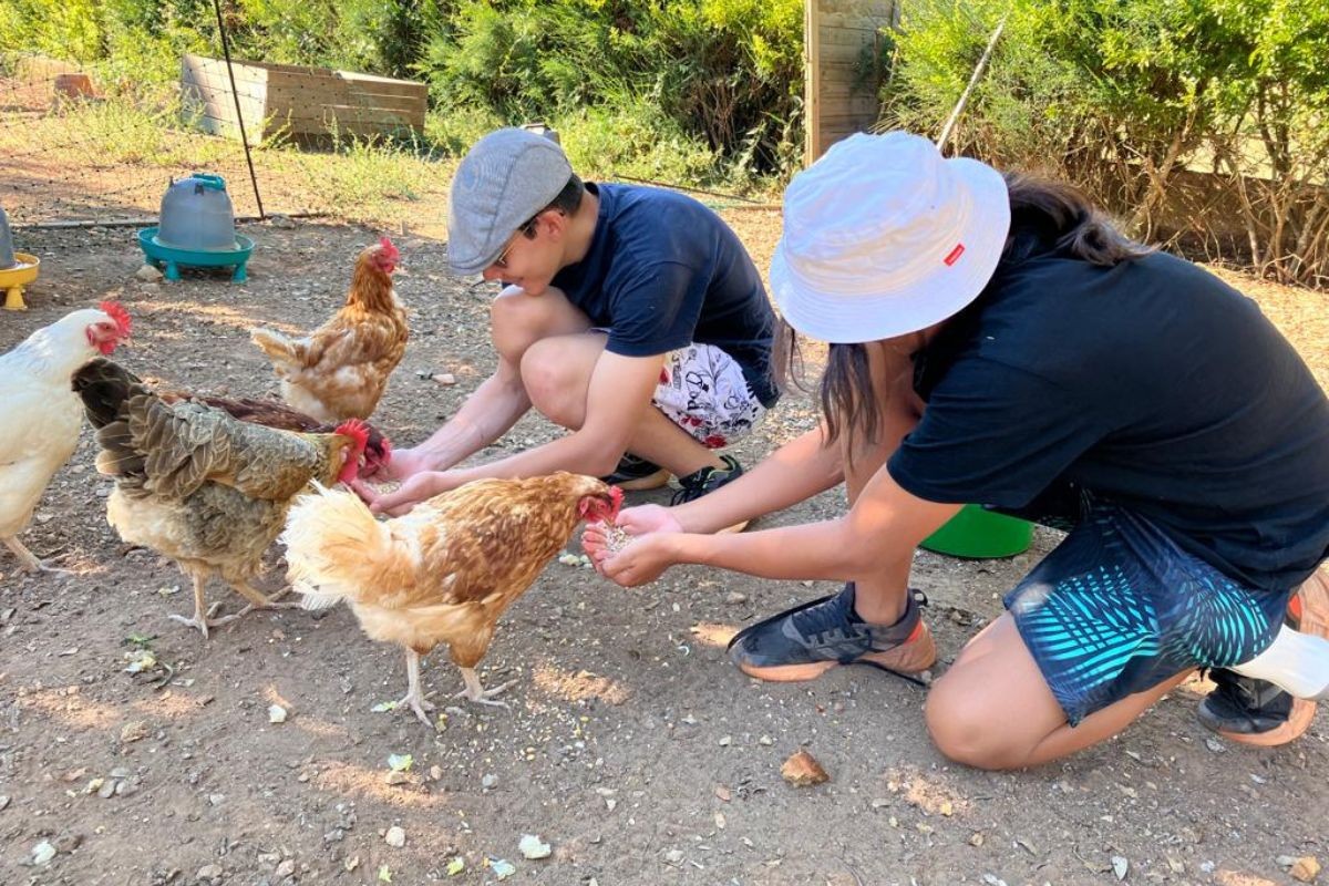Les petits soigneurs de la ferme