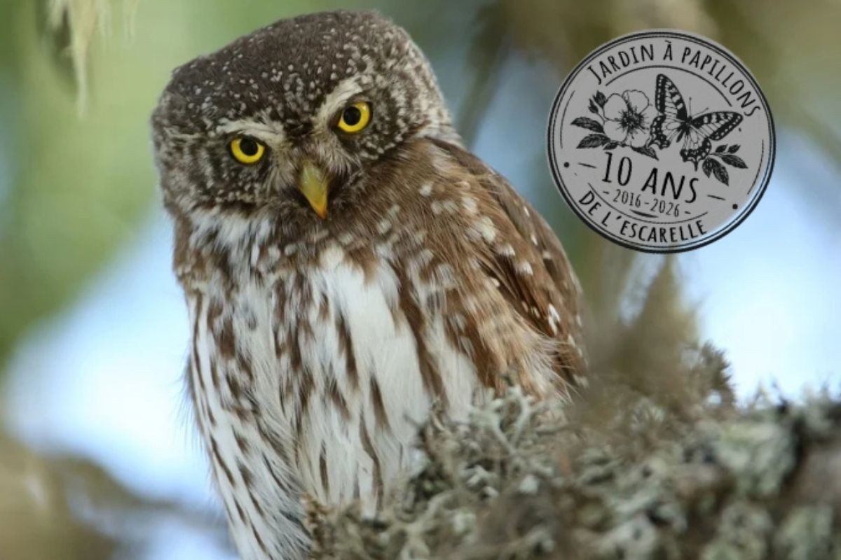 La nature fait son show !