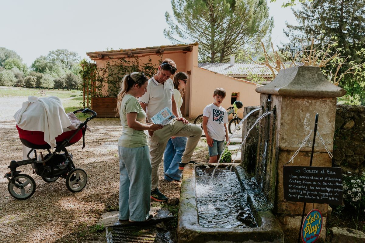 L’Empreinte du temps : aventure au cœur d’un vignoble millénaire