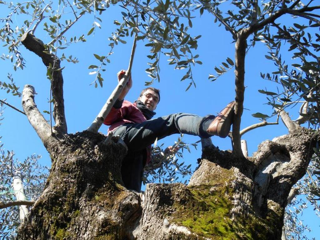 Ferme du Montadaou à Fox-Amphoux