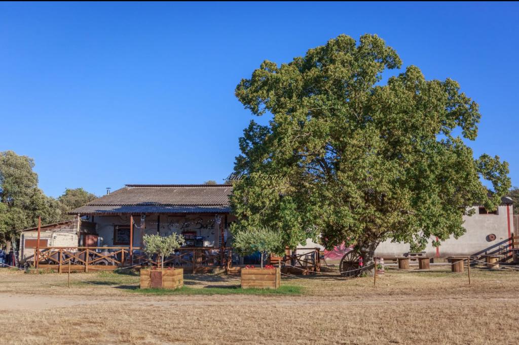La Bodega de  Margaux à Saint-Julien Le Montagnier