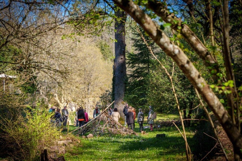 Provence Sylva - L'Académie du Bain de Forêt Provençale à Bras