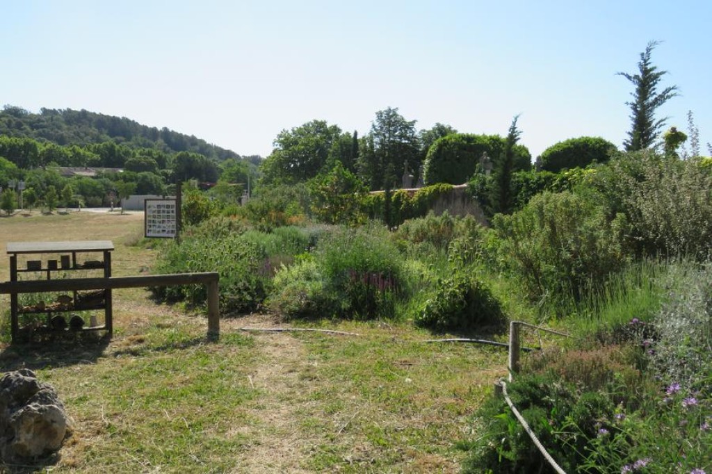 Jardin aux insectes - Espace Louis Giraud à La Roquebrussanne