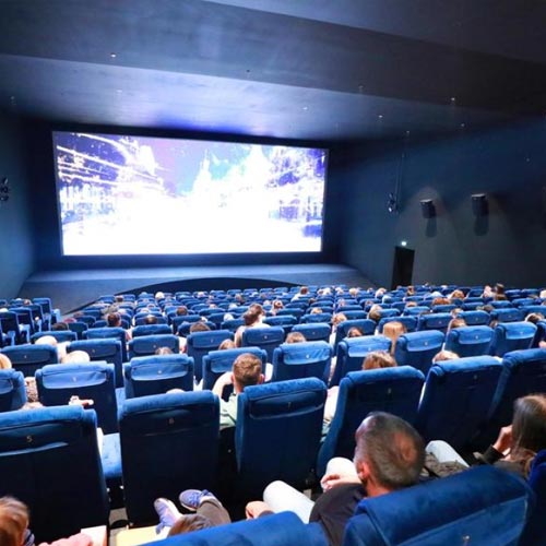 Sorties : En fauteuil roulant