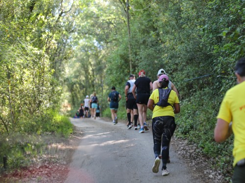 Marathon Var Provence Verte