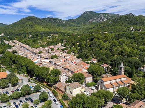 La Roquebrussanne