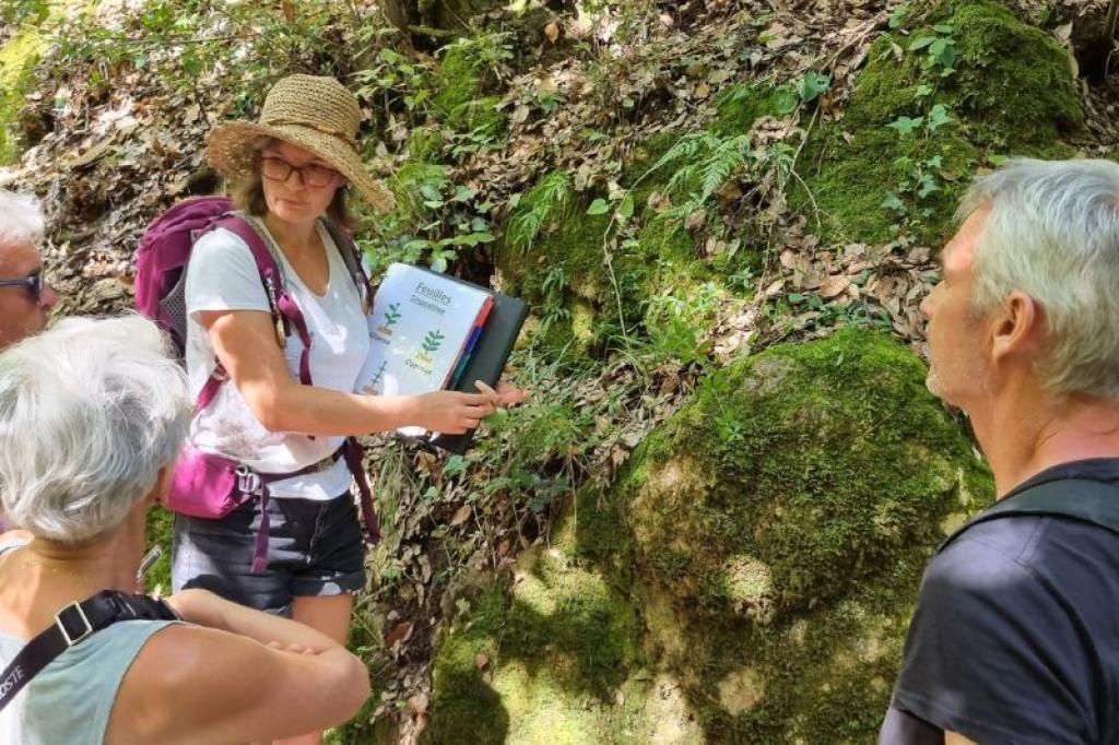 Excursions Groupes en Provence