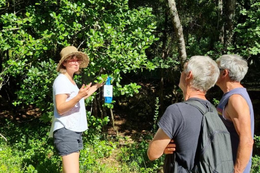 Excursions Groupes en Provence