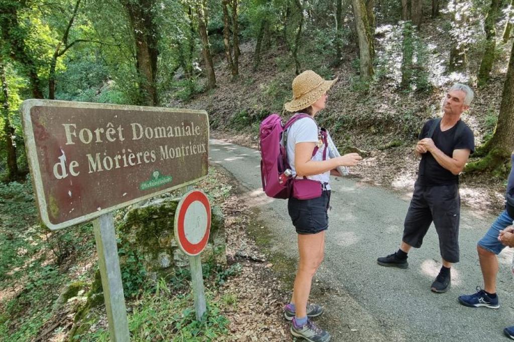 Excursions Groupes en Provence