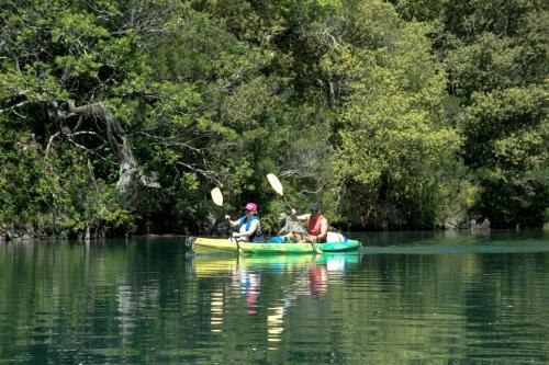 Secrets de templiers