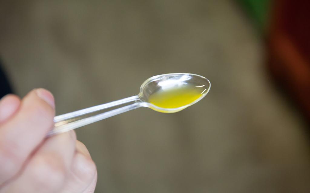 Excursions Groupes en Provence