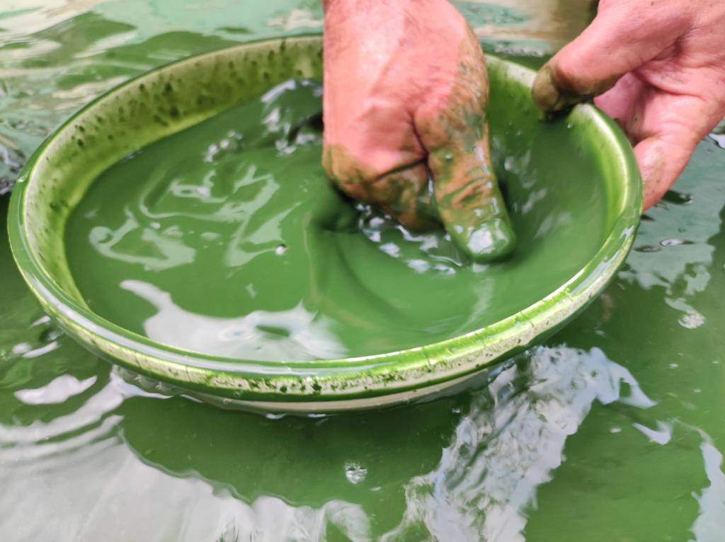 Excursions Groupes en Provence